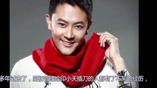 天道明星网红排名,揭秘网络红人风云变幻