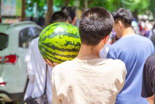 今日辛集吃瓜视频播放,揭秘今日热门话题背后的真相