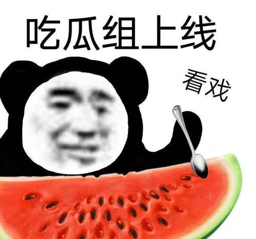 吃瓜黑料最,吃瓜黑料背后的真相与反思