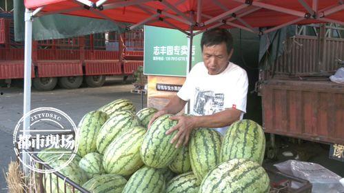 今日吃瓜的一天,娱乐圈风云再起，揭秘幕后真相