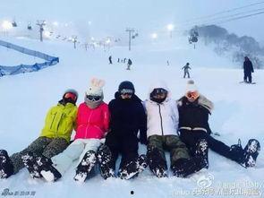 明星网红滑雪是谁,盘点冬日运动新风尚