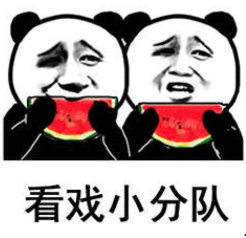 爆料中国吃瓜图片搞笑表情包,中国搞笑表情包大集合