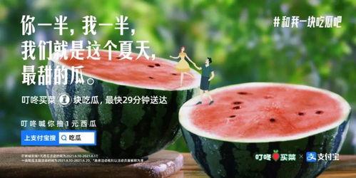 今日吃瓜文案图片大全集,图文并茂的娱乐圈新鲜事大盘点