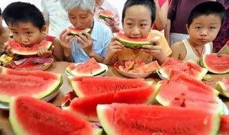 今日立秋吃瓜群众,清凉一夏，全民共享丰收喜悦