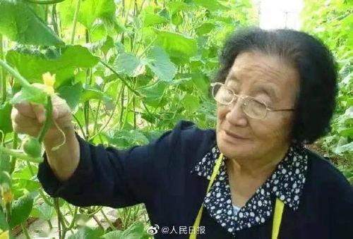 黑瓜吃料网怎么搜不到了,黑瓜吃料网搜索失效之谜揭秘