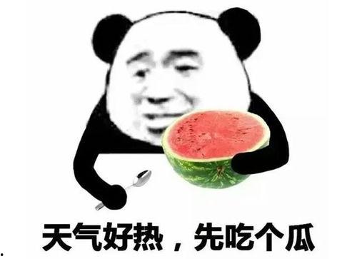 吃瓜热门口号大全霸气,霸气来袭，一网打尽年度热门话题