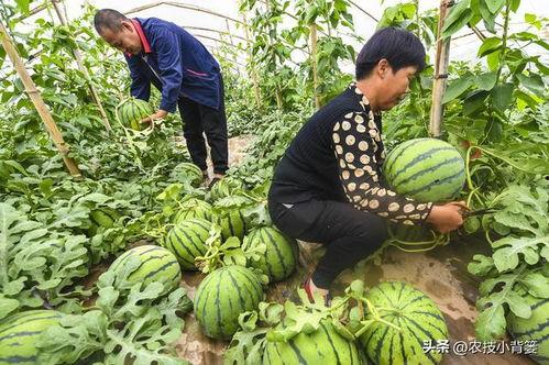 热门瓜河北,河北风云再起，背后真相令人震惊