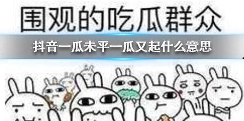 抖音最新热门吃瓜,揭秘网红们的幕后故事