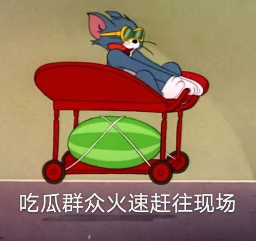 吃瓜爆料头像图片大全可爱,瓜界萌宠集结！吃瓜爆料头像图片大全可爱盘点