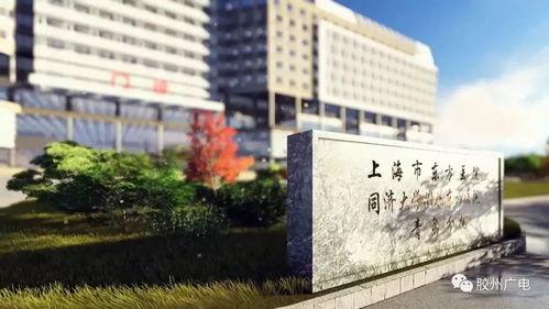 东方医学院热门瓜,揭秘医学界的那些事儿