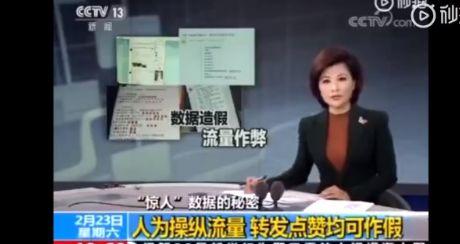 履历造假的明星网红,履历造假明星网红的华丽面具背后