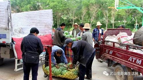 息县吃瓜群众爆料最新消息,吃瓜群众揭秘惊人内幕