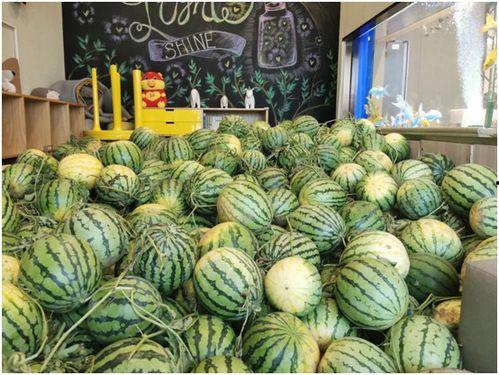 17c今日吃瓜精品