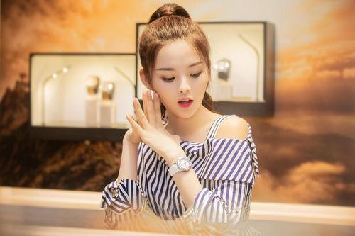 都是明星网红是谁,揭秘那些都是明星网红的璀璨人生