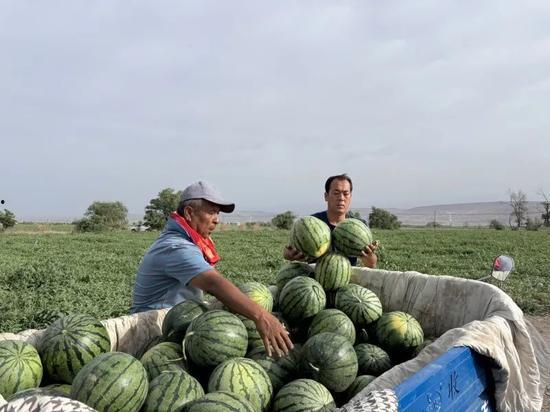 黑旗吃瓜,揭秘吃瓜群众的狂欢盛宴