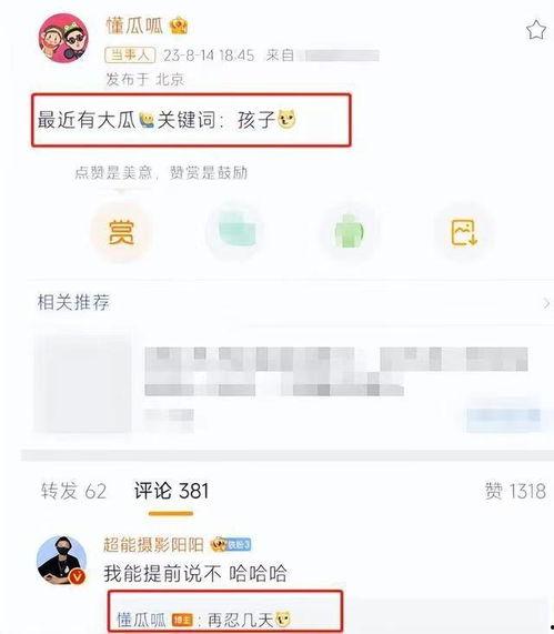 微博热门瓜,揭秘热门瓜背后的真相与内幕