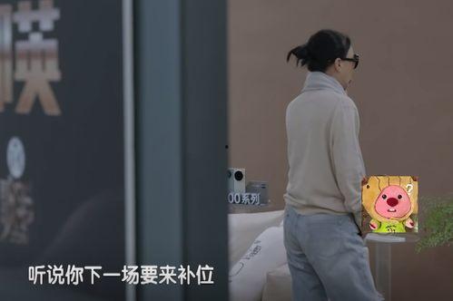 明星网红为什么翻车,从辉煌到低谷的坠落之路