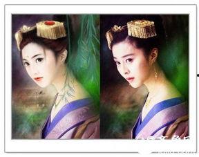 明星网红插画大全集,插画大全集带你领略时尚魅力