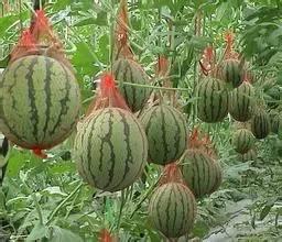 句容热门吃瓜事件真相,真相大白背后的曲折历程