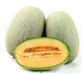 哈密瓜老师热门视频,轻松学习新技能的秘诀