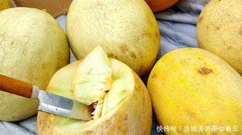 白兰瓜今日价格行情,涨跌波动一览