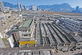 土瓜湾今日新闻,社区动态与民生焦点聚焦