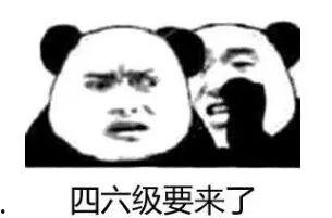 瓜总今日没上镜,镜头前留下悬念