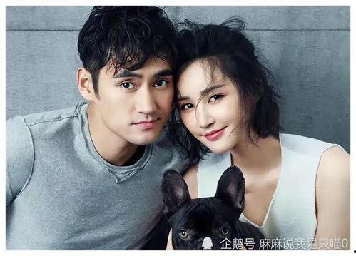 吃瓜大爆料明星是谁啊视频,吃瓜大爆料，明星身份大起底！