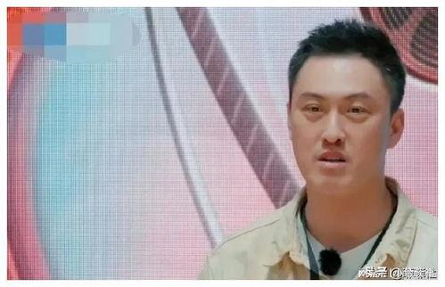 最新娱乐圈吃瓜爆料肖战,娱乐圈再掀波澜