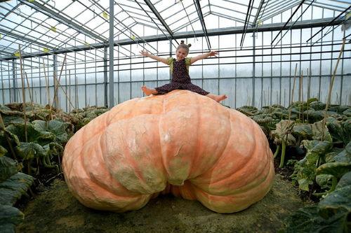 缅甸热门大瓜在哪看,独家观看指南